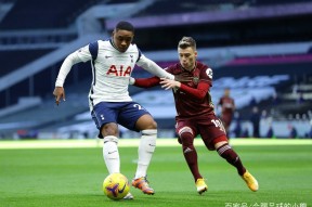 包含里程碑夜！夏洛特黄蜂遗憾出局，英超清晨刷纪录，引发热议，资深球员宣示担当的词条米兰在线